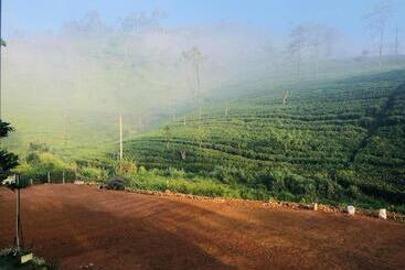 Pensión The Nonis Guest