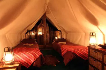 Hotel Quatermain S 1920 S Safari Camp   Amakhala Game Reserve