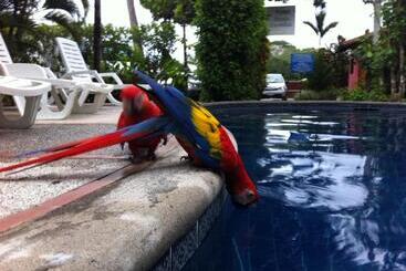 酒店 El Paraiso Escondido   Costa Rica