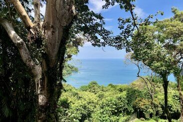 ホテル Mango Moon Villa