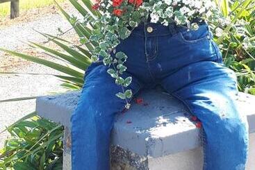 בית מלון כפרי The Ring Farmhouse