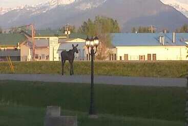 Hotel Travelodge By Wyndham Mcbride