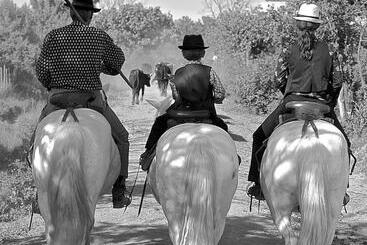 تختخواب و صبحانه Mas Du Menage En Camargue Manade Clauzel