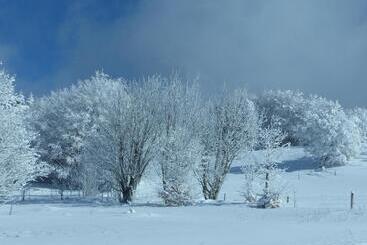 ベッドアンドブレックファースト Pavillon Kalensa