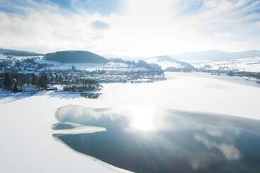 Göbel S Seehotel Diemelsee