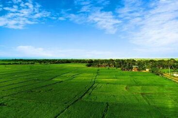 ホテル Avonil Resort Yala