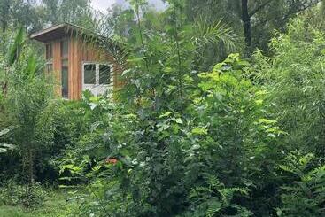 Bed and Breakfast La Casa En El Rio Con Viaje En Lancha