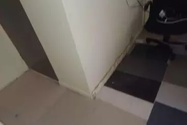 Pansiyon Kempton Park Lodge Esther Park