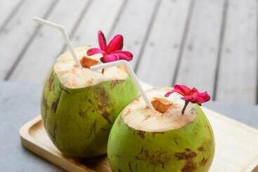 膳宿费 Villa Walet