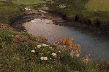 Bed and Breakfast Treweens