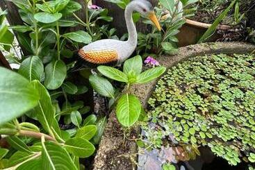 Pensió Mahasa Penarik Homestay