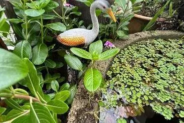 Majatalo Mahasa Penarik Homestay