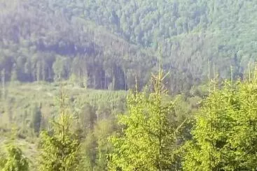 Pensió Sadyba U Vani