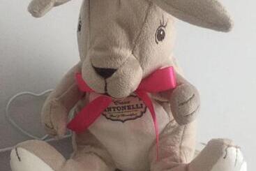 Bed and Breakfast Casa Antonelli