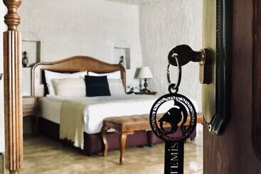 酒店 Artemis Cave Suites & Spa Adults Only