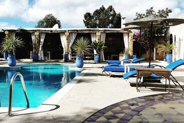 פנסיון Riad Eucalyptus