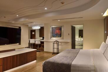 Hs Hotsson Hotel Irapuato