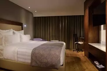 Hs Hotsson Hotel Irapuato