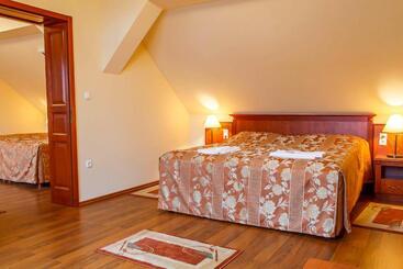 Pannon Hotel Bejelentkezés 20 óráig, Check In Until 20 O Clock, Einchecken Bis 20 Uhr