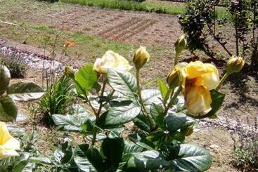 Agriturismo Bellavista