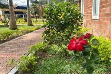 ホテル Villa Zaragoza