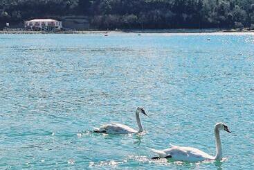 هتل Lavender  Oleander Resort