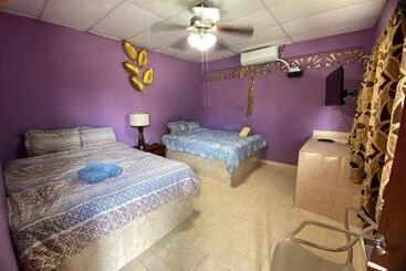 Hostel Windmill Hostal