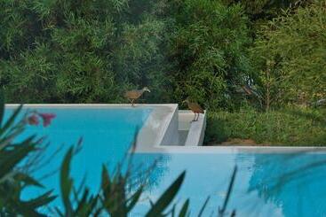 Bed and Breakfast La Atrevida