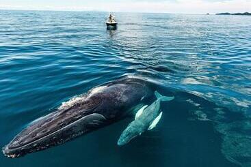 Casa Del Sol Bed And Breakfast