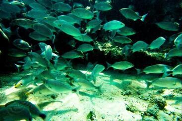 Casa Del Sol Bed And Breakfast