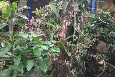 هتل De Campo Apastepe