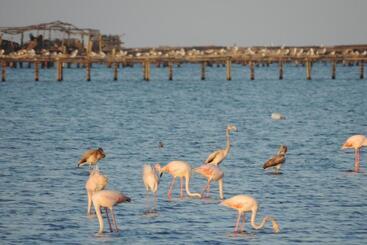 Alberg Deltebre Xanascat