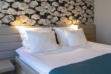 Отель Spa Tervise Paradiis