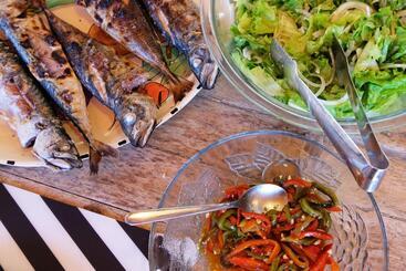 Freesurfcamp & Hostel