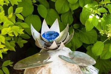 Bed And Breakfast Klein Groenbergen