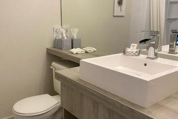 汽车旅馆 Travelodge By Wyndham Drummondville