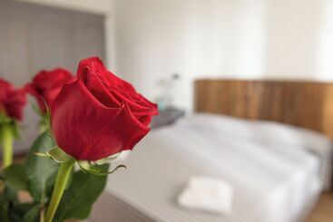 Сельский отель Agriturismo Campo All Olmo