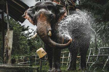 Szálloda Banaunirukchiangrai