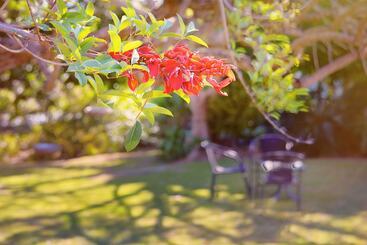 هتل Comfort Inn Premier