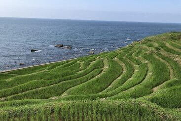 호스텔 Kanazawa Guesthouse Stella