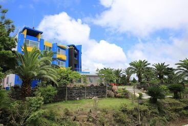 Hotel Dream & Green Pension