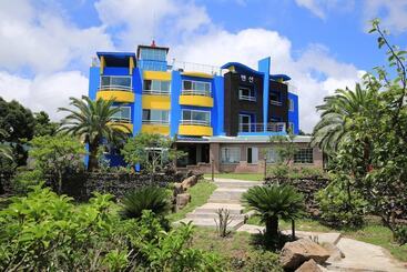 Hôtel Dream & Green Pension