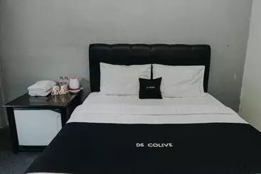 Hotel Ds Colive 34
