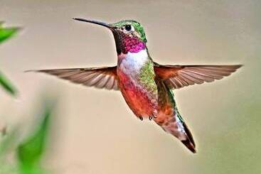 Mein Haus Bed & Breakfast