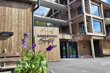 Aparthotel Gausta Residence