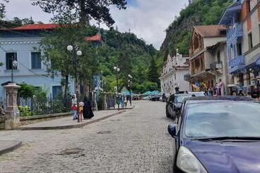 پانسیون Alongside Park Borjomi