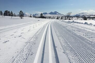 Hotel Basecamp Nord   Indoor Camping