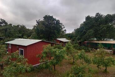 Otel Wild Flower Agro Resort