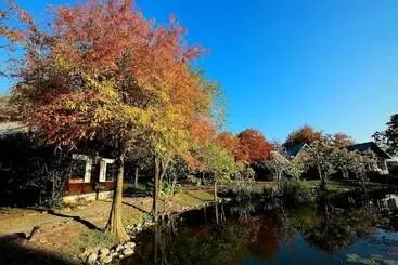 هتل Green Forest Villa