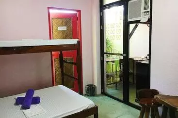 Elternative Hostel
